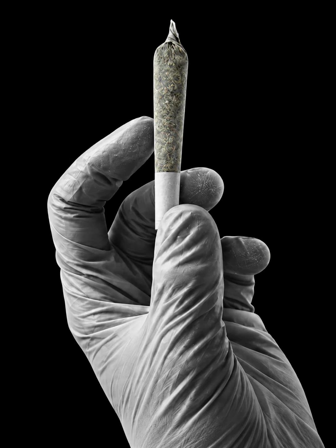 A gloved hand holding a pre-roll