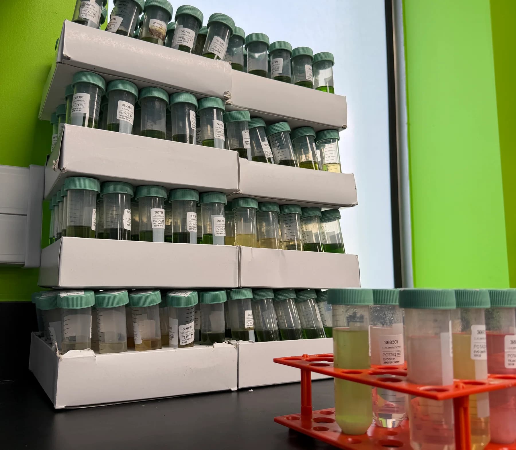 Shelves of labelled sample jars beside a rack of tubes, against a green wall