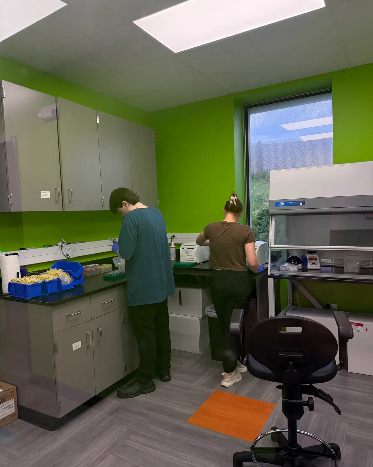 Two analysts working at a bench in the green-walled laboratory
