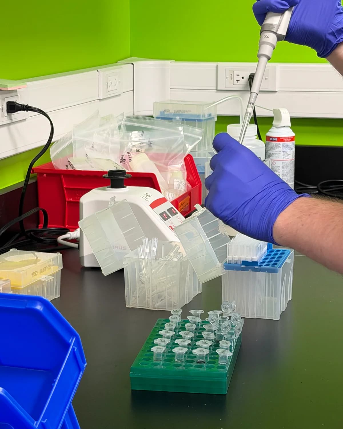 A gloved hand pipetting into a rack of tubes
