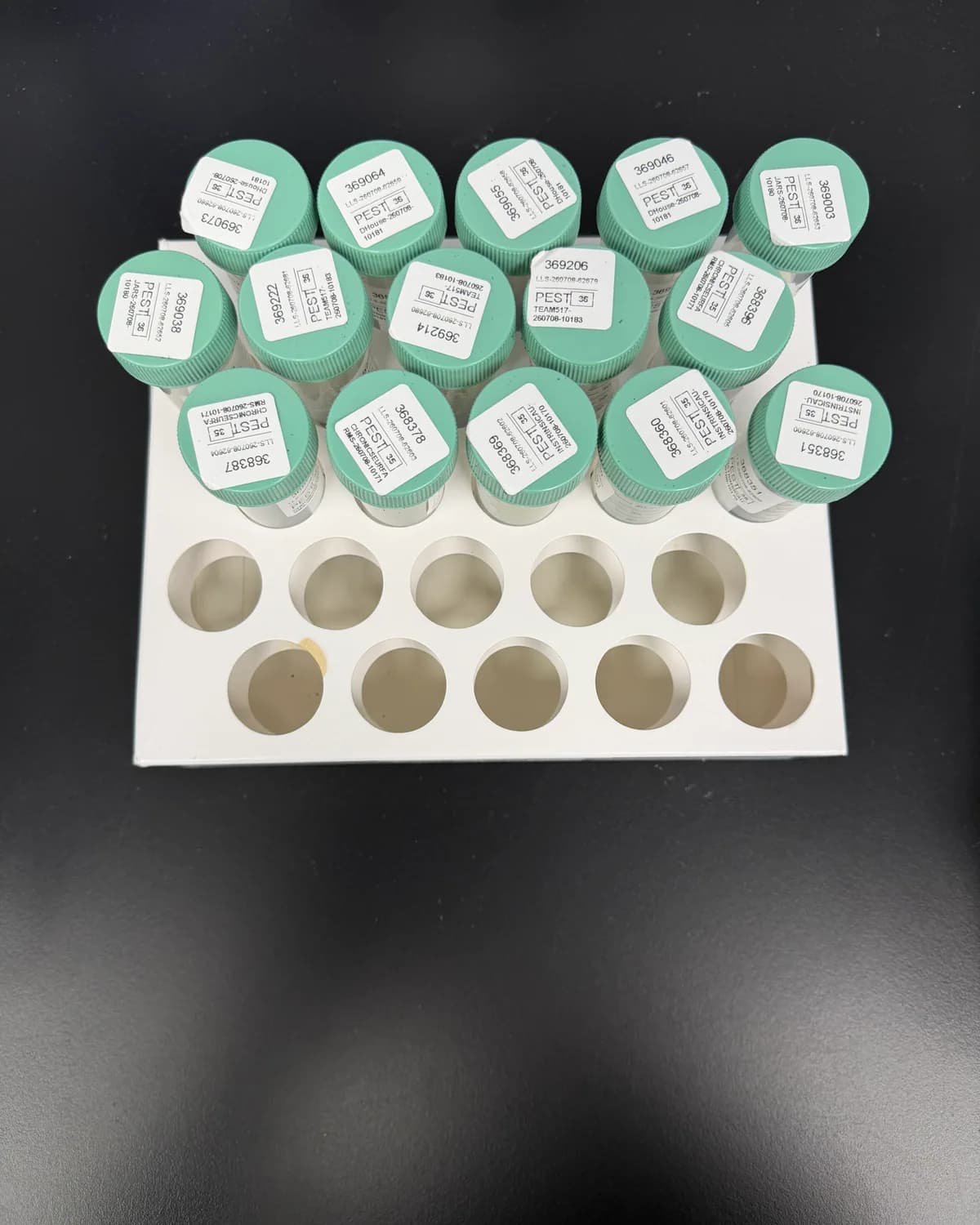 Labelled sample jars photographed from above
