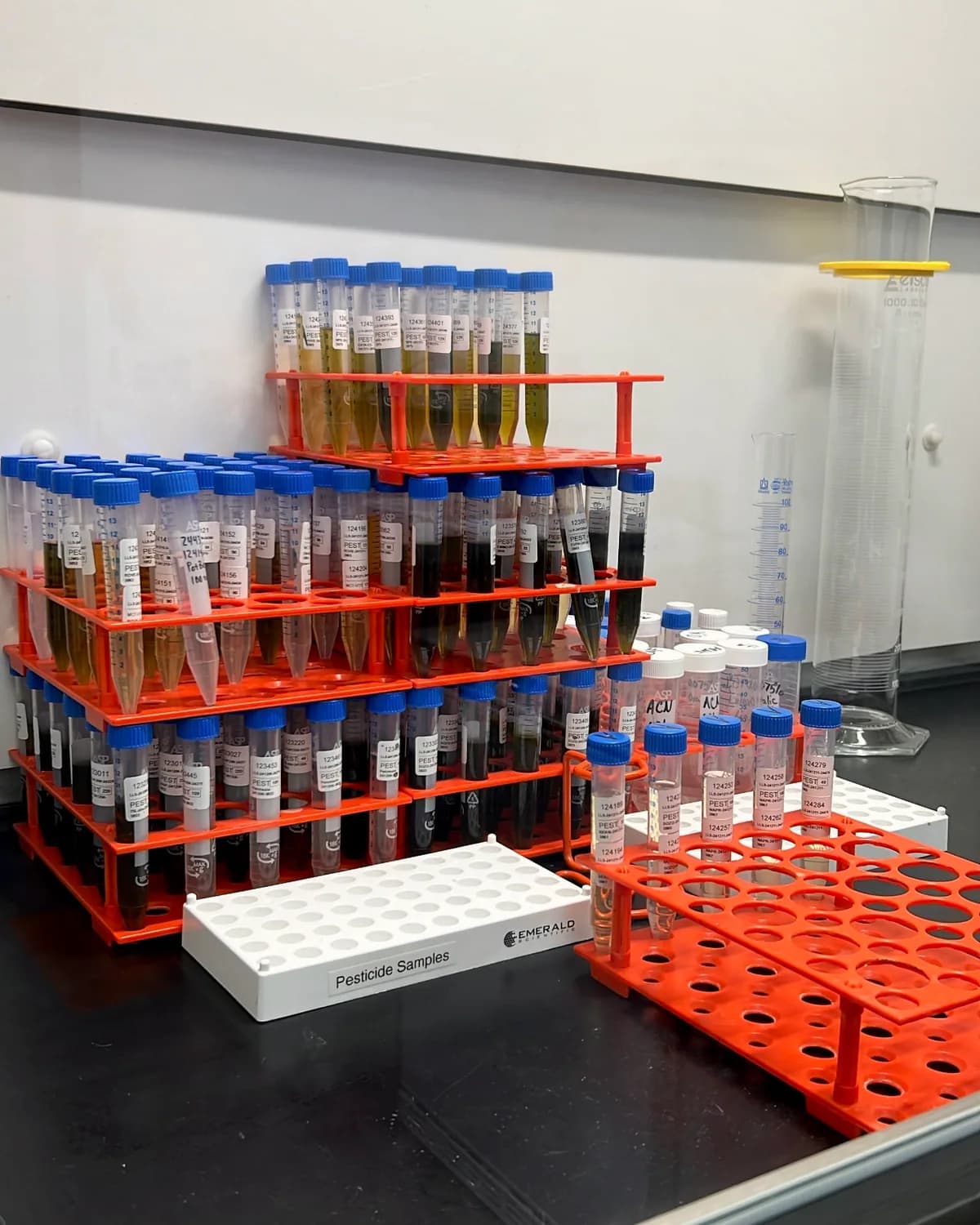 Racks of sample tubes waiting to be extracted