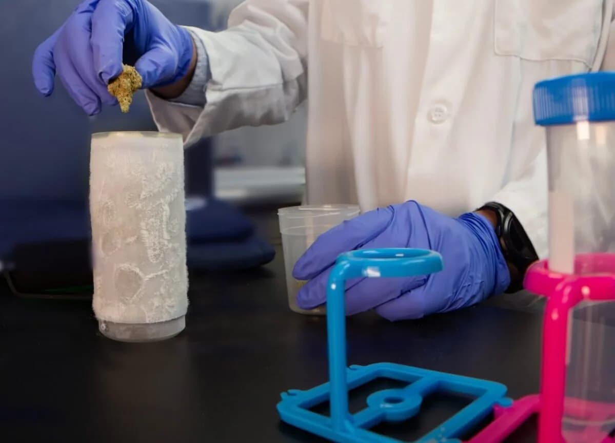 An analyst working at the laboratory bench