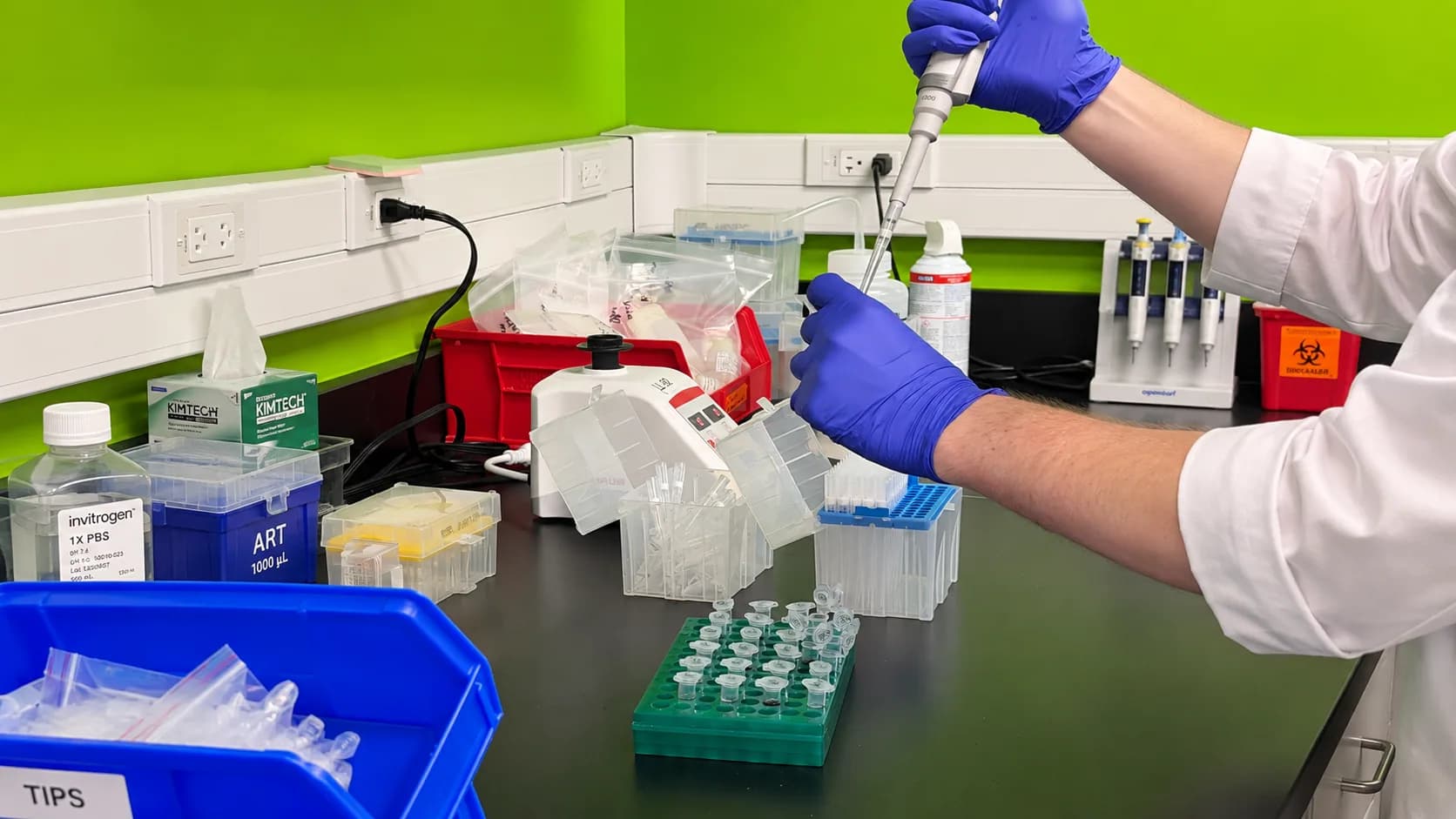 An analyst at work in the Lab Link Testing laboratory